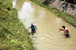 Sungai Kendal Memprihatinkan