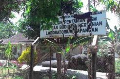 BAP Alih Fungsi Lahan UGM Lengkap