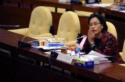 Sri Mulyani Kompeten, Tapi Cacat di Kasus Bank Century