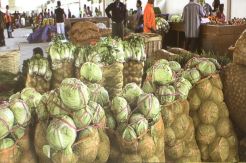 Perbaiki Daya Jual, Puspo Agro Pangkas Tengkulak