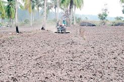 Tanah Mengeras, Petani...
