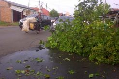 Angin Puting Beliung Landa Sukoharjo
