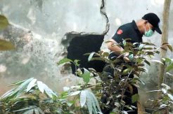 Rampok Bunuh Istri Juragan...