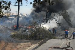 Gudang Ban di Pasuruan Terbakar, Jalur Pantura Lumpuh