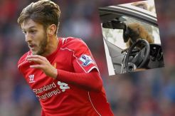 Punggawa Liverpool Diserang Monyet