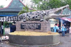 Berlibur ke Penangkaran Buaya Terbesar di Asia