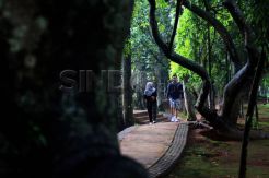 Banyak Aset Fasos Fasum di Jakarta Belum Diserahkan
