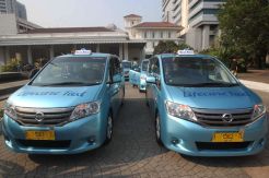 Blue Bird Raup Dana...