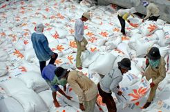 Mendag Klaim Stok Beras 6-8 Bulan ke Depan Aman