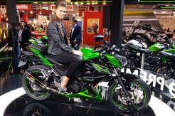 Kawasaki Perkenalkan Ninja 300 Sportbike