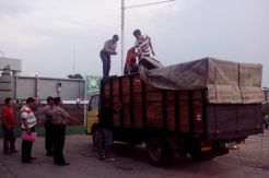 Tiga Ton Daging Celeng Disita