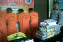 10 Hari, Polres Purwakarta Sita Ganja Senilai Rp1 M