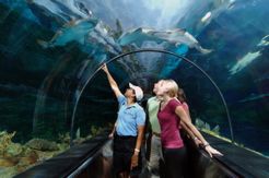 Sengketa Seaworld Tak Menurunkan Imej Ancol