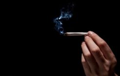 Ganja Perkecil Volume Otak