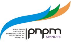 PNPM Sumsel Desak Pemprov Lindungi UKM