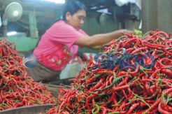 Harga Sembako Merangkak...