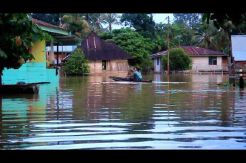 Banjir di Riau, Ribuan Warga Terisolasi
