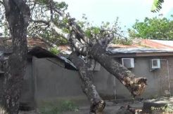 Pohon Tumbang Timpa Kantor Polisi