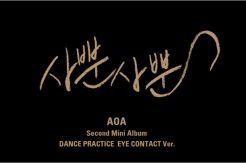 Video AOA Like a Cat...