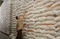 Raskin Jadi Instrumen Stabilitas Harga Beras