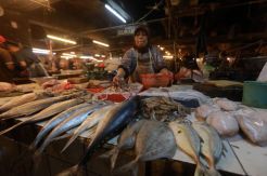 Perikanan Tuna Indonesia...