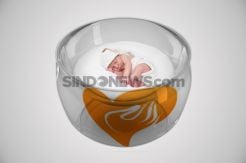 Lagi Main Bola, Bocah Kebagusan Geger Temukan Mayat Bayi