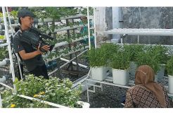 Tanaman Hemat Air 90%,...