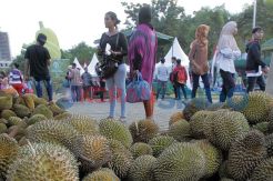 Festival Durian Kurang...