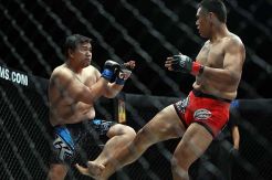 Mixed Martial Arts Indonesia...