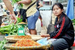 Harga Cabai di Manado Tembus Rp160 Ribu/Kg