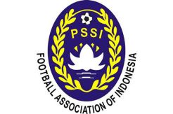 Kemenpora: Tim Sembilan Bukan Untuk Ganti Rezim PSSI