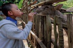Taman Satwa Tak Tergantikan