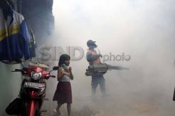 DBD Mewabah di Depok