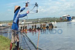 Zona Terlarang, 100...