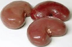 Organ Tubuh PRT Diduga...