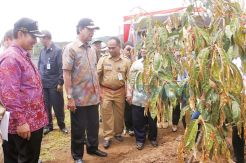 Sultan Canangkan Pengembangan...