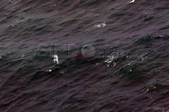 Pencarian Kotak Hitam di Laut Dangkal Lebih Sulit