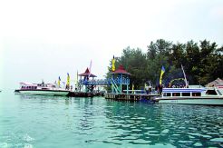 Pulau Sepa, Nuansa Tropis...