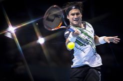 Atasi Karlovic, Ferrer ke Final Qatar