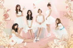 A Pink Rilis Poster...