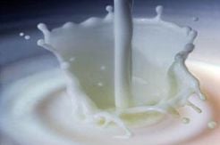 AIPS: 80% Bahan Baku Susu Masih Impor