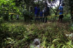 Dikira Batu Mulia, Petani Simpan Granat Nanas
