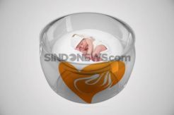 Bayi Perempuan Dibuang di Gerobak