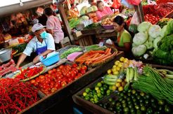Harga Minyak Turun, Pemerintah Bisa Melakukan Operasi Pasar