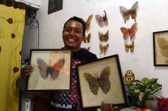 Kupu-kupu Daun Tembus Pasar Dunia