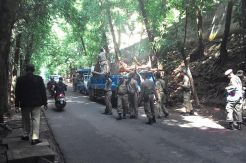 Puluhan Lapak PKL di Ragunan Diangkut Petugas