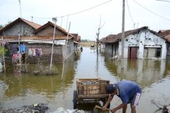 Banjir Rendam Seribu Rumah di Pekalongan