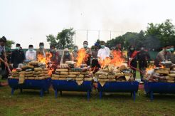 Polda Banten Bakar 155 Kg Ganja