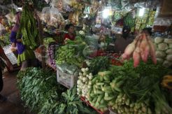 Harga Sayuran Lokal Stabil, Impor Melonjak