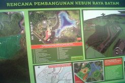 Pemerintah Siapkan Rp63 M Bangun Kebun Raya Batam